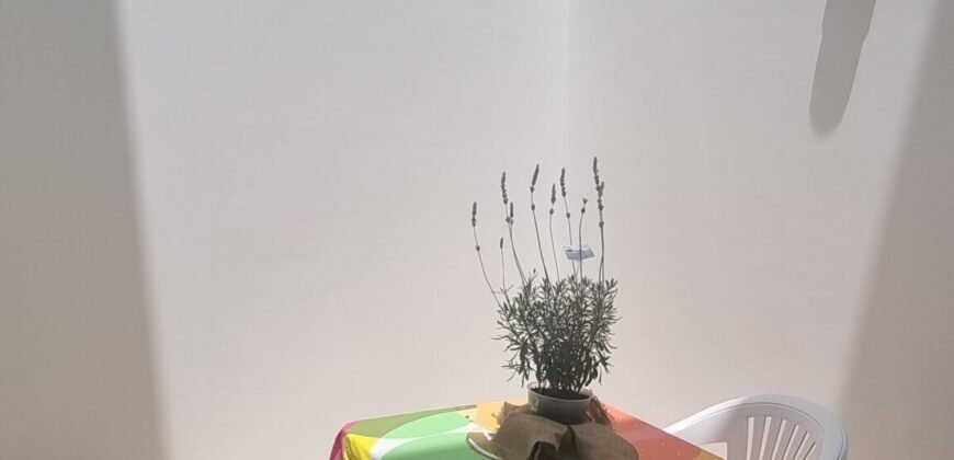 Minkamar!!! Linda Casa Arquitectura Malachowski