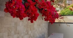 Miroquesada lindo Dpto 1er piso estilo Casa