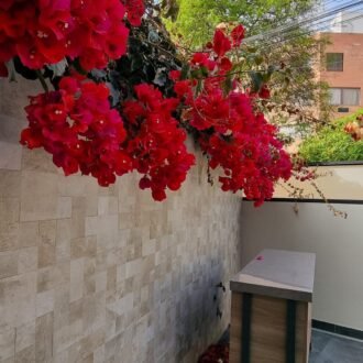 Miroquesada lindo Dpto 1er piso estilo Casa