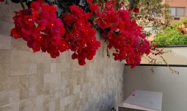 Miroquesada lindo Dpto 1er piso estilo Casa