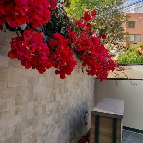 Miroquesada lindo Dpto 1er piso estilo Casa