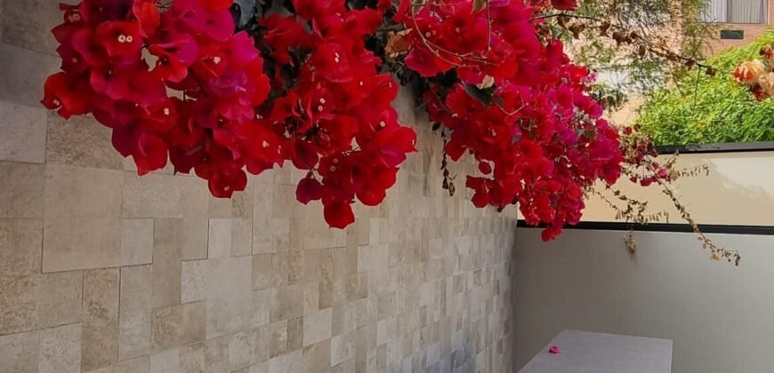 Miroquesada lindo Dpto 1er piso estilo Casa