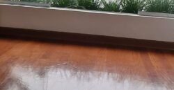 Lindo Dpto Los Castaños San isidro