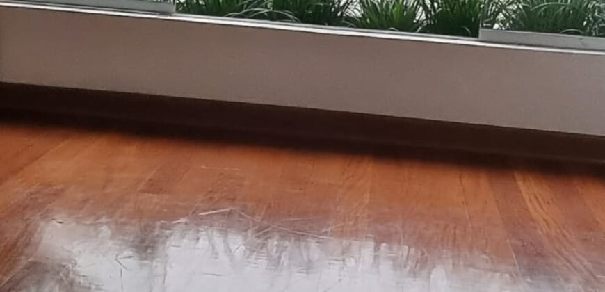 Lindo Dpto Los Castaños San isidro