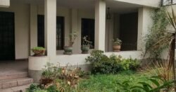 Linda Casa Talara Jesus Maria
