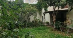 Linda Casa Talara Jesus Maria