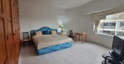 Embajadores Lindo Dpto Penthouse!